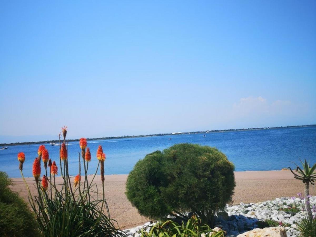 Appartement 4 Pers - Le Barcares - Piscine, Parkings, Terrains De Sport, Fitness - Fr-1-195-25 Экстерьер фото